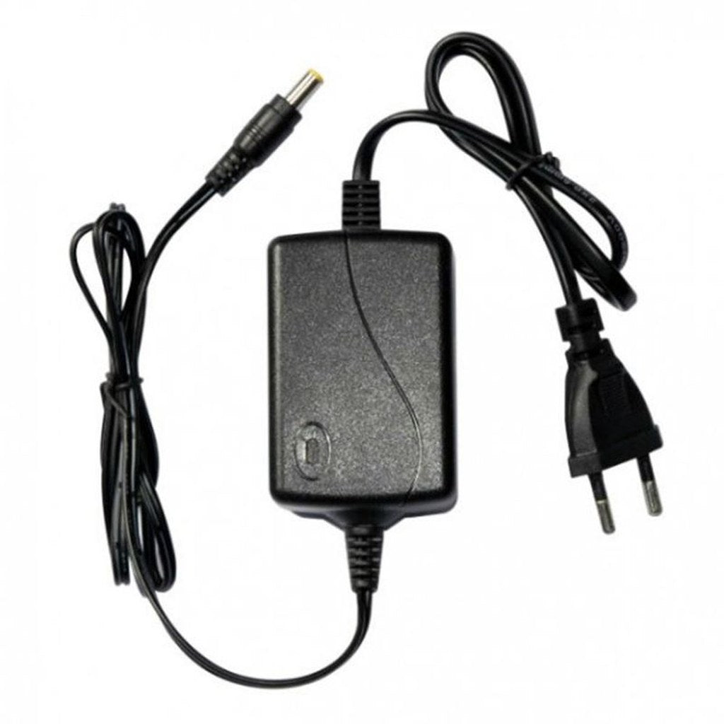 Hikvision Fuente de Poder Switching 12V 2A — adaptador CCTV con plug DC